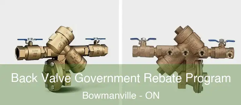  Back Valve Government Rebate Program Bowmanville - ON