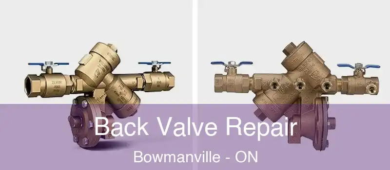  Back Valve Repair Bowmanville - ON