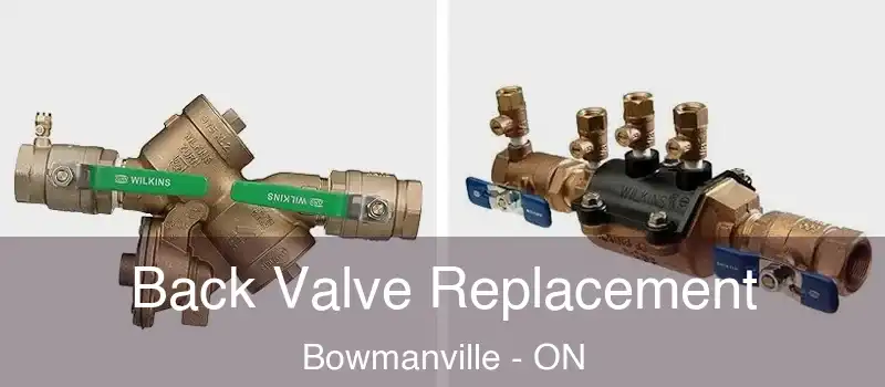  Back Valve Replacement Bowmanville - ON