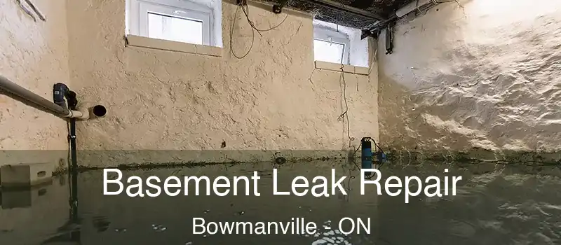  Basement Leak Repair Bowmanville - ON