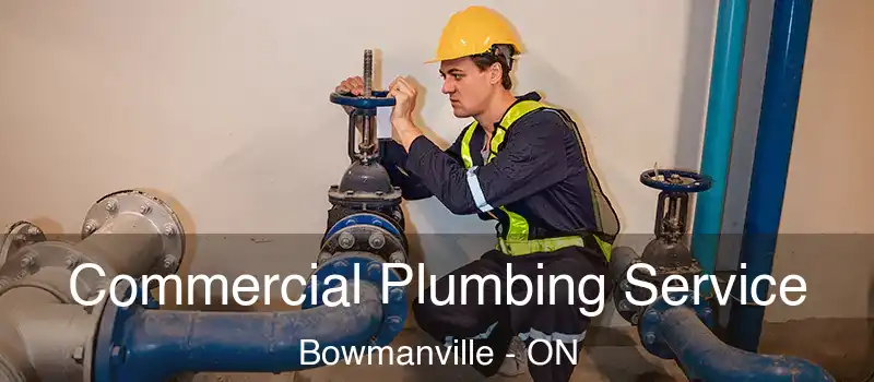  Commercial Plumbing Service Bowmanville - ON