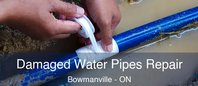  Damaged Water Pipes Repair Bowmanville - ON
