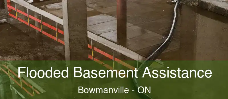  Flooded Basement Assistance Bowmanville - ON