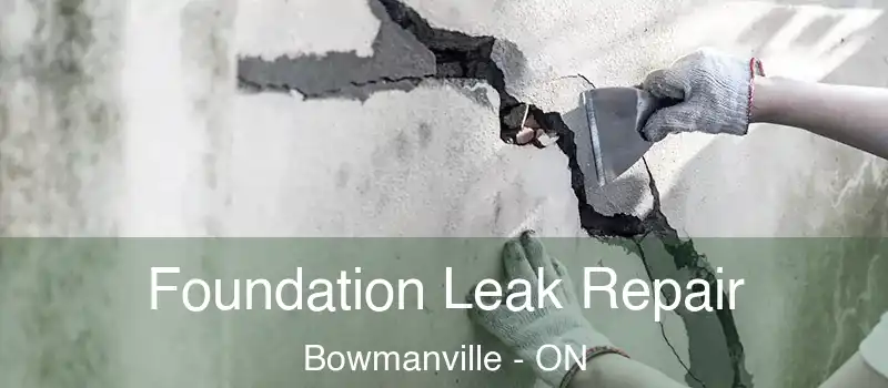  Foundation Leak Repair Bowmanville - ON