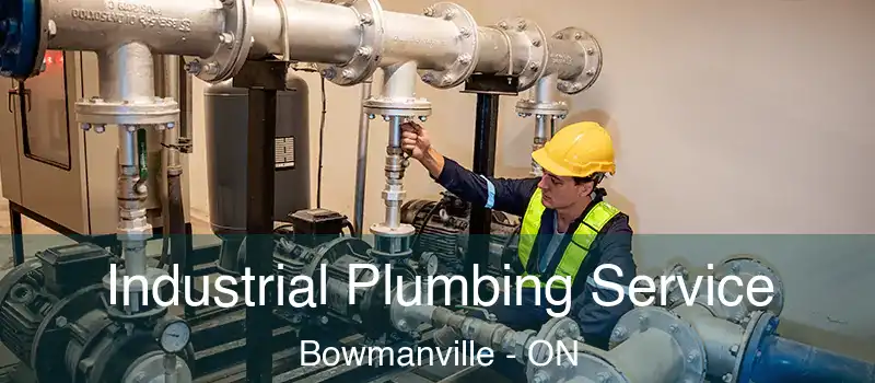  Industrial Plumbing Service Bowmanville - ON