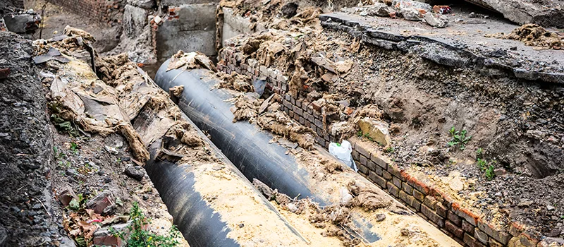 Commercial Sewer Tree Roots Damage Solutions in Bowmanville, ON