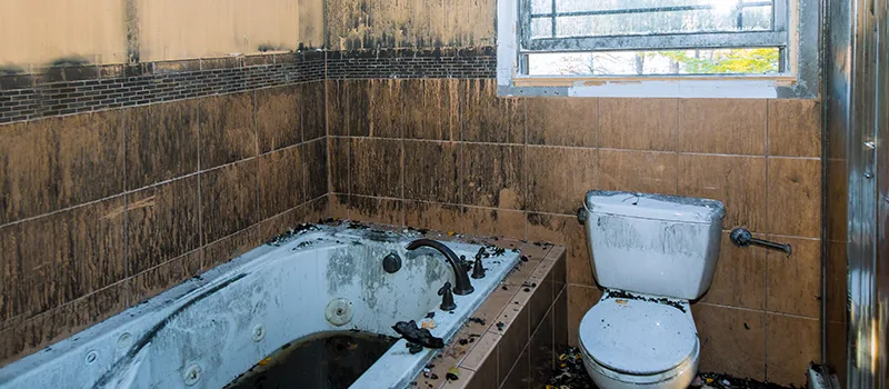 Residential Water Damage Restoration in Bowmanville, ON