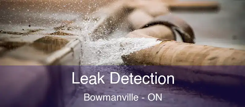  Leak Detection Bowmanville - ON