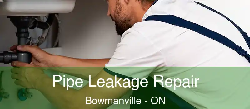  Pipe Leakage Repair Bowmanville - ON