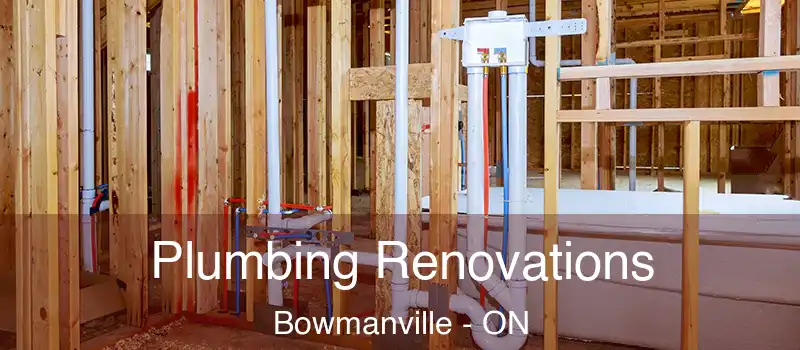  Plumbing Renovations Bowmanville - ON