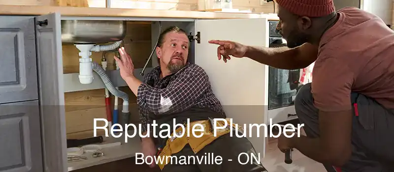  Reputable Plumber Bowmanville - ON