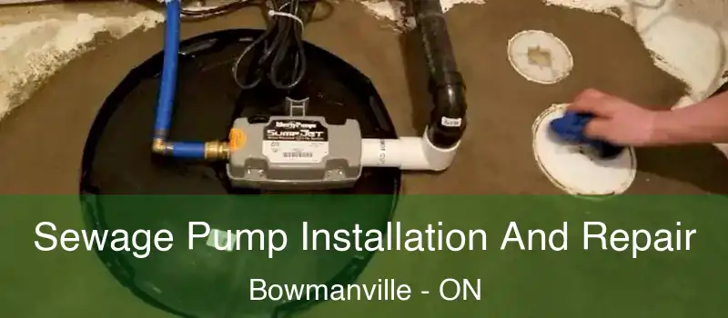  Sewage Pump Installation And Repair Bowmanville - ON
