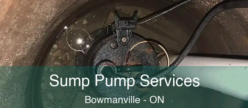  Sump Pump Services Bowmanville - ON