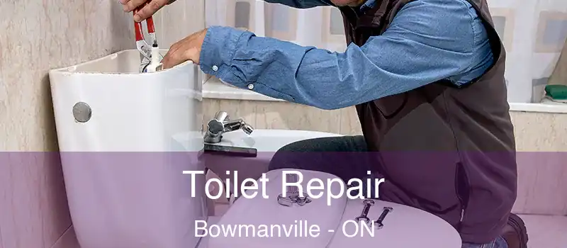  Toilet Repair Bowmanville - ON