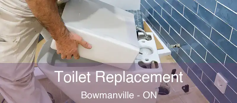 Toilet Replacement Bowmanville - ON