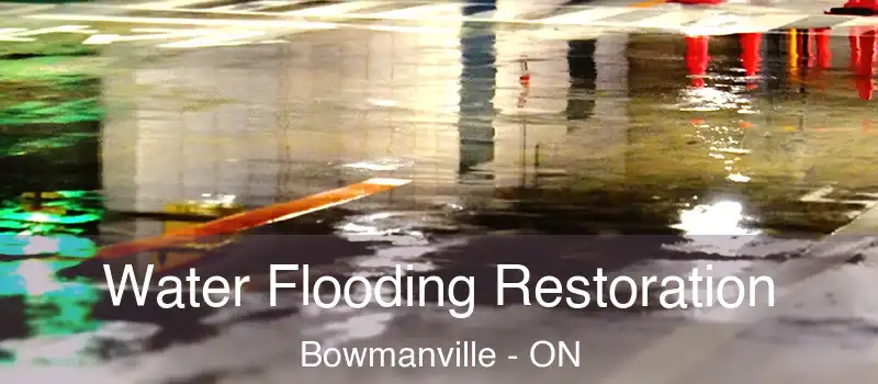  Water Flooding Restoration Bowmanville - ON