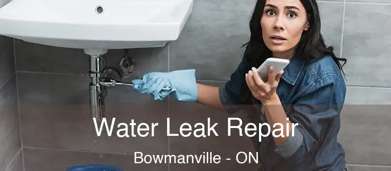  Water Leak Repair Bowmanville - ON
