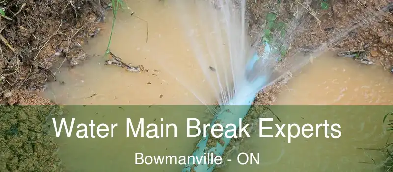  Water Main Break Experts Bowmanville - ON