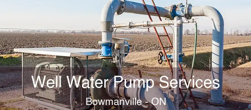  Well Water Pump Services Bowmanville - ON